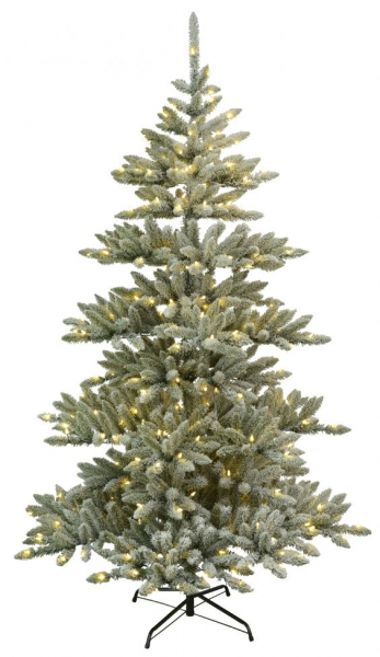 Weihnachtsbaum 'Arvika Belysning' - Grün