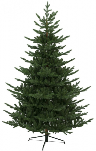 Weihnachtsbaum 'Brekstad' - Grün