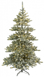 Weihnachtsbaum 'Arvika Belysning' - Grün