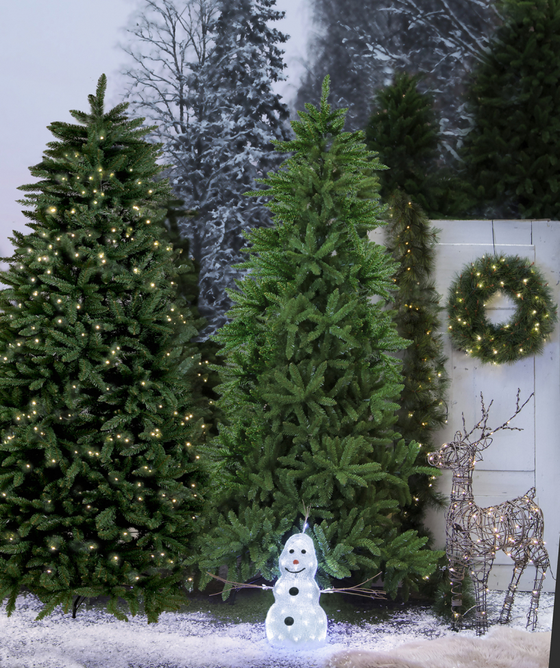 Weihnachtsbaum 'Calgary' - Grün