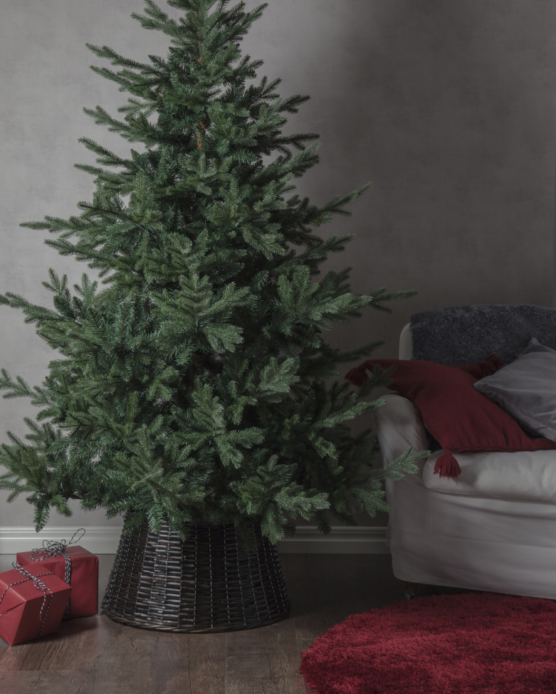 Weihnachtsbaum 'Brekstad' - Grün