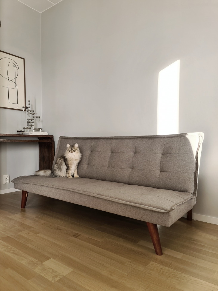 Schlafsofa 'Eukalyptus' - Beige