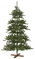 Weihnachtsbaum \'Arvika\' - Grün