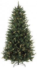 Weihnachtsbaum \'Calgary\' - Grün