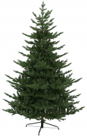 Weihnachtsbaum \'Brekstad\' - Grün