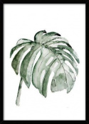 Leinwandposter L - Tropische Pflanze 7